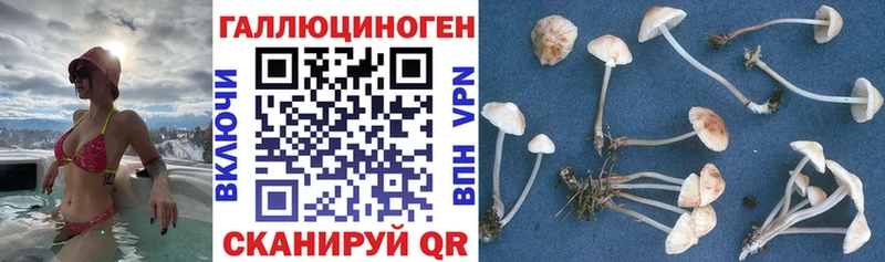 Галлюциногенные грибы MAGIC MUSHROOMS  МЕГА ссылка  Изобильный 